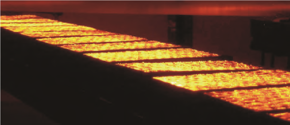 Quemador infrarrojo Apollo Ray